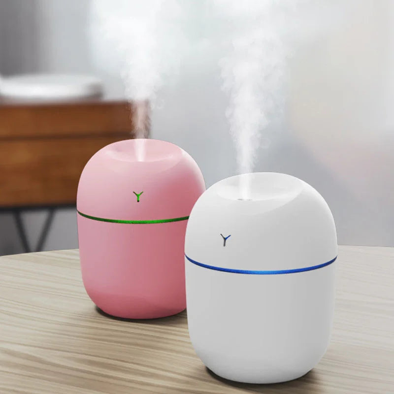 250ML Mini Humidifier Aromatherapy