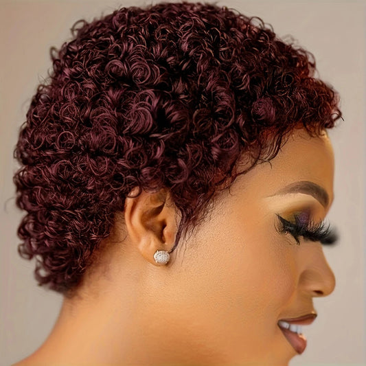 Short Curly Human Hair Wig