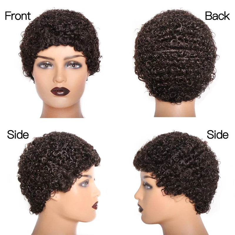 Short Curly Human Hair Wig