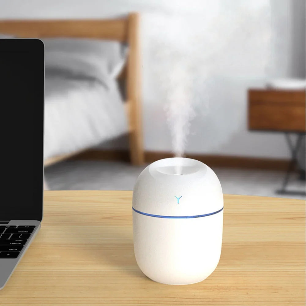 250ML Mini Humidifier Aromatherapy